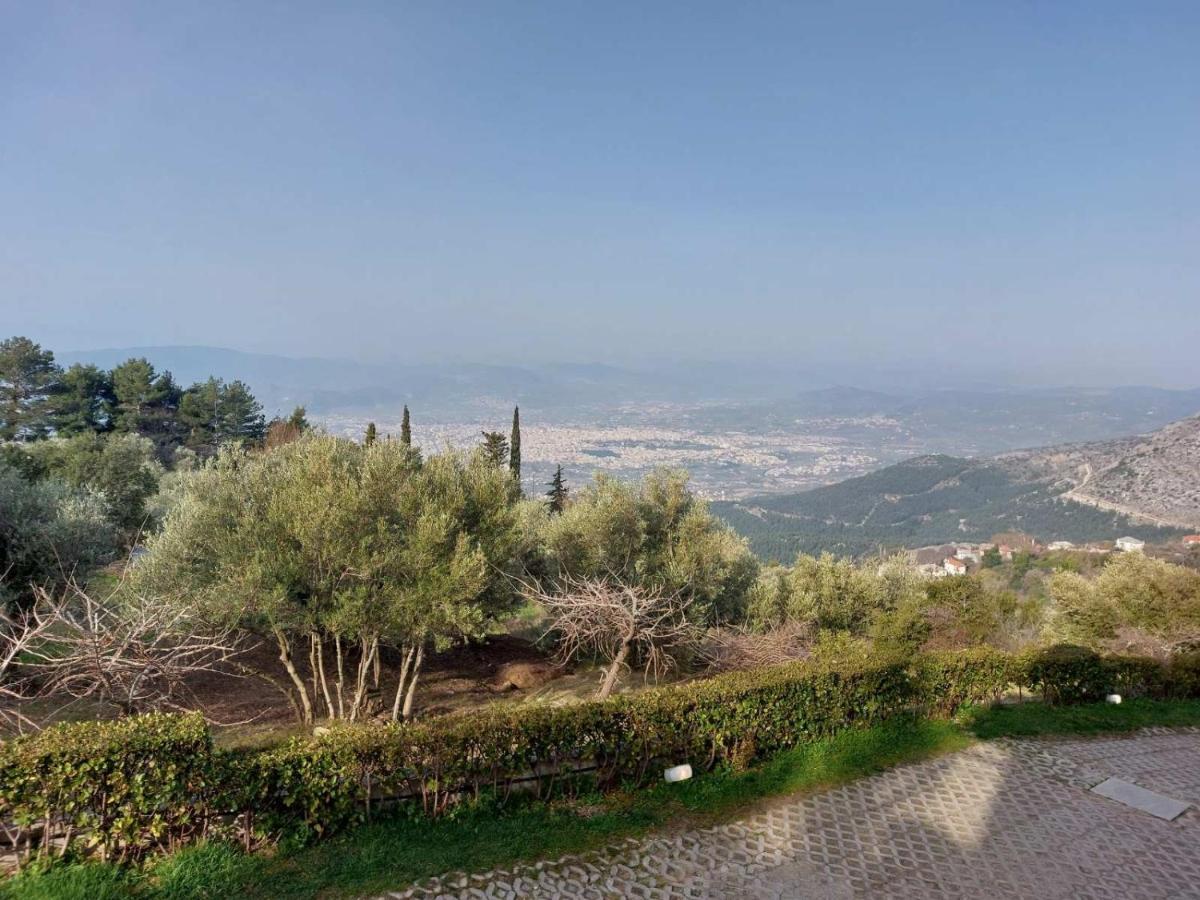 Valeni Boutique Hotel & Spa Portariá Dış mekan fotoğraf
