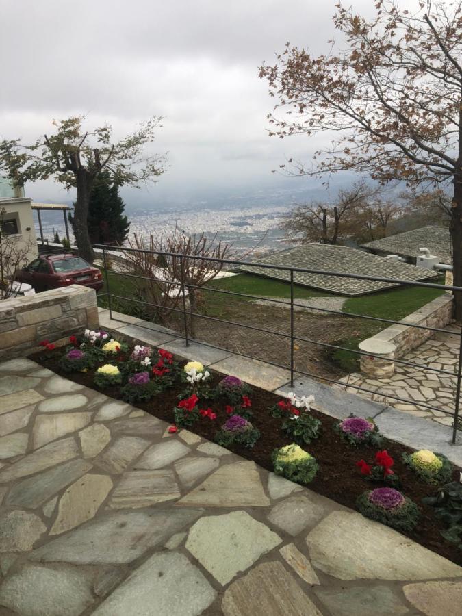 Valeni Boutique Hotel & Spa Portariá Dış mekan fotoğraf